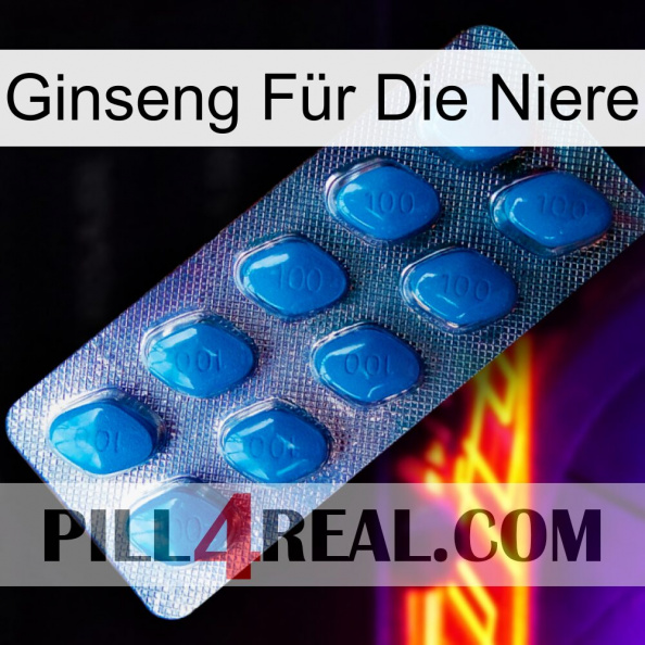 Ginseng Für Die Niere viagra1.jpg